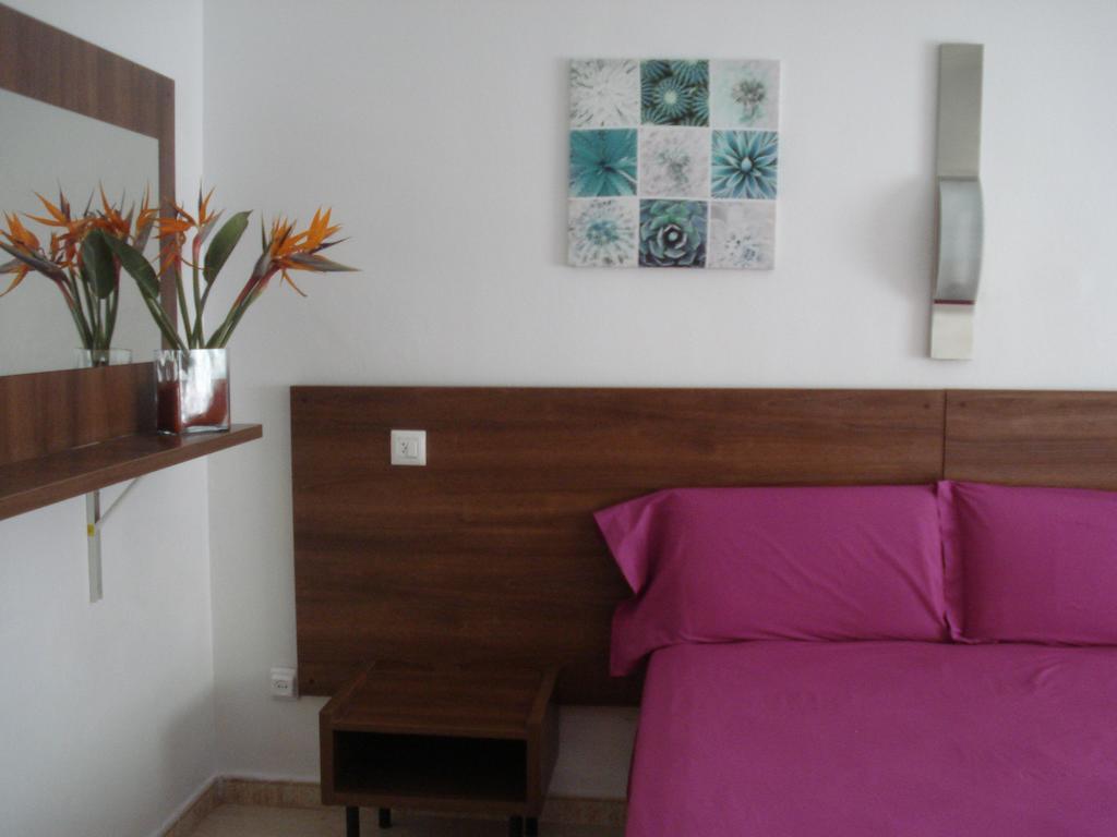 Hostal Margarita Pineda de Mar Dış mekan fotoğraf